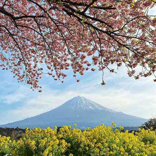  مثل قصه بارونم چرا عین خیالت نیست اگه این همه تنهامو